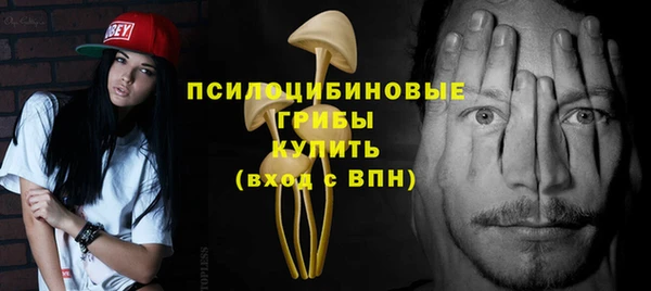 синтетический гашиш Алексин