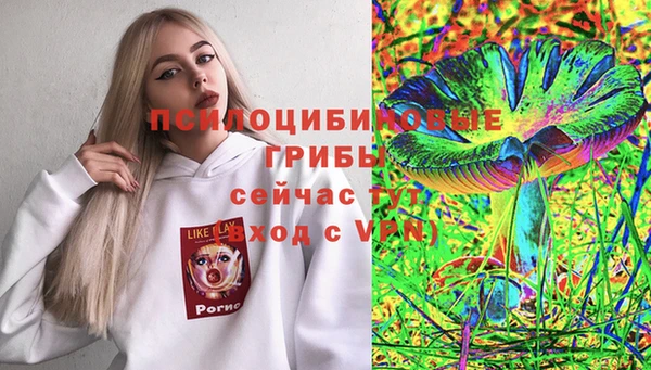 Альфа ПВП Алзамай