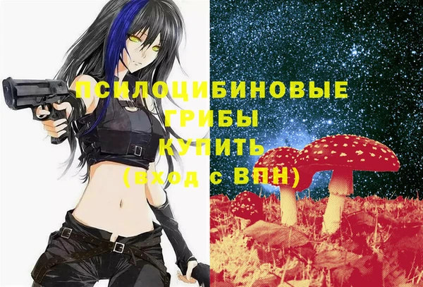 синтетический гашиш Алексин