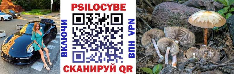 Псилоцибиновые грибы Psilocybine cubensis  OMG зеркало  Артёмовск 